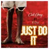About Just Do It Song