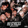 About No Stress Song