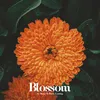 Blossom