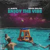 About Enjoy the Vibe Song