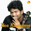 About Nee Kaanumo Recreated Version Song