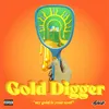 About Gold Digger Song