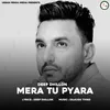 About Mera Tu Pyara Song