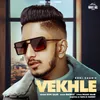 About Vekh Le Song