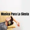 About Musica Para La Siesta Song