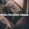 About Música Para Dormir Tranquilo Song