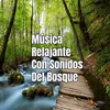 Música Relajante Con Sonidos Del Bosque