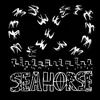 About Seahorse Song