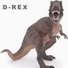 About D-Rex Song