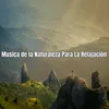 About Musica de la Naturaleza Para La Relajación Song