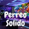 About Perreo Solido Song