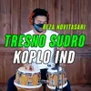 About Tresno Sudro Song