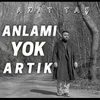 About Anlamı Yok Artık Song