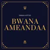 Bwana Ameandaa