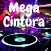 About Mega Cintura Song