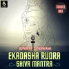 About Ekadasha Rudra Shiva Mantra Trance Mix Song