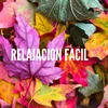 About Relajacion Facil Song