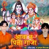 About Aava Na Pila Gaja New Bolbam Bhajan Song