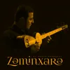 About Zəminxarə Song