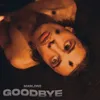 About Goodbye Song