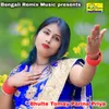 About Bhulte Tomay Parina Priya Song