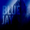 About Blue Jay Song