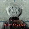 What Remains Single Version