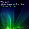 About Colours of Life Song