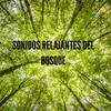 Bosque