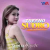 About Tresno Sudro Song