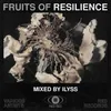 Resilience Mixed By Ilyss