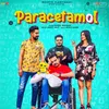 About Paracetamol Song