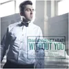 About Without You Song