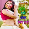 About Fagun Ke Mahina Rani Joban Rangva Lo Ho Song