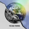 About Toi ma terre Song