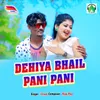 About Dehiya Bhail Pani Pani Song