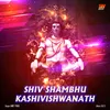 Shiv Shambhu Kashi Vishwanath DJ Mix