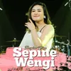 About Sepine Wengi Song