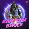 Bam Bam Bhole DJ Mix