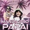 About Manda pro Papai Song