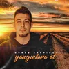 About Yangınlara At Song