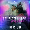 About Desculpa Mãe Song