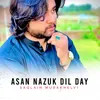 Asan Nazuk Dil Day
