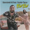 About Çat Çat Song