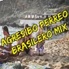 Agresibo Perreo Brasilero Mix