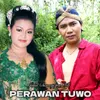 About Perawan Tuwo Song