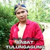 About Babat Tulungagung Song