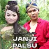 About Janji Palsu Song