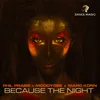 Because the Night Radio Edit