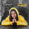 About Hiptok Song